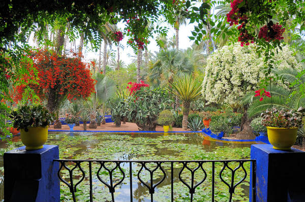 Le jardin des majorelle, Marrakech